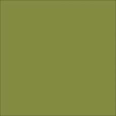 ORACAL 631 Marsh Green Punched Matte (468)