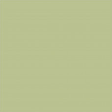 ORACAL 631 Celedon Matte (494)