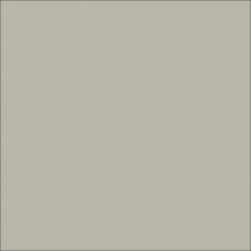 ORACAL 631 Storm Grey Matte (751)