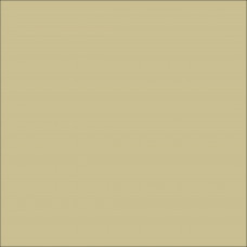 ORACAL 631 Dark Beige Matte (816)