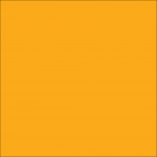 ORACAL 641 Golden Yellow Gloss (020)