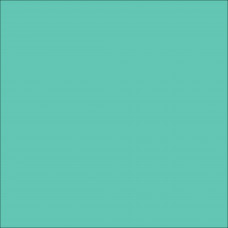 ORACAL 651 Mint Punched Gloss (055)