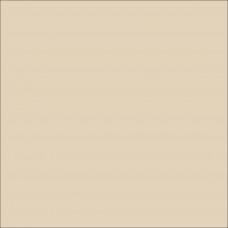 ORACAL 751 Light Ivory Gloss (018) ORACAL 751 Light Ivory Gloss (018)