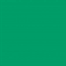 ORACAL 8800 Middle Green Matte (009)