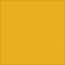 ORACAL 8800 Signal Yellow Matte (019)