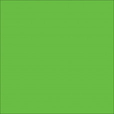 ORACAL 8800 Lime Tree Green Matte (063)
