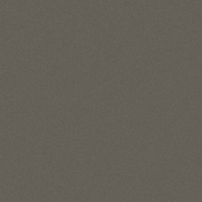 ORACAL 970RA Graphite Metallic Gloss (932)