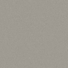 ORACAL 970RA Tin Metallic Gloss (933)